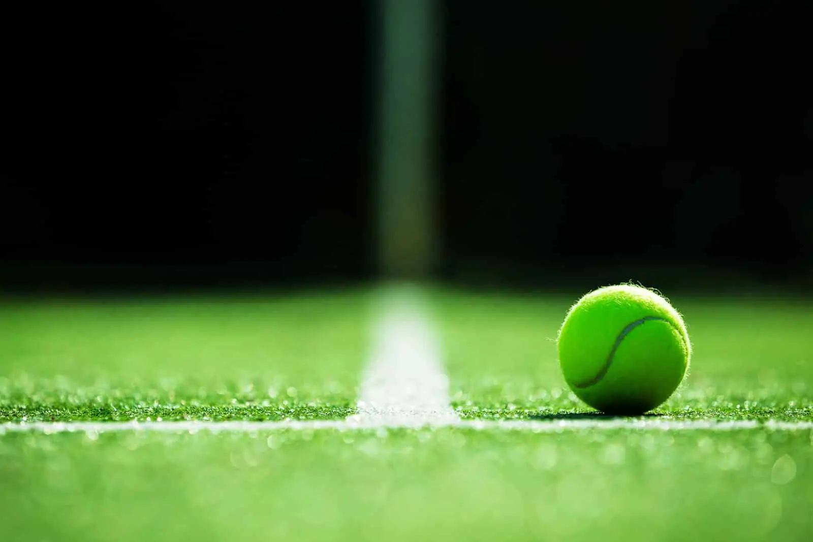 Tennis ball on the white line of a grass court