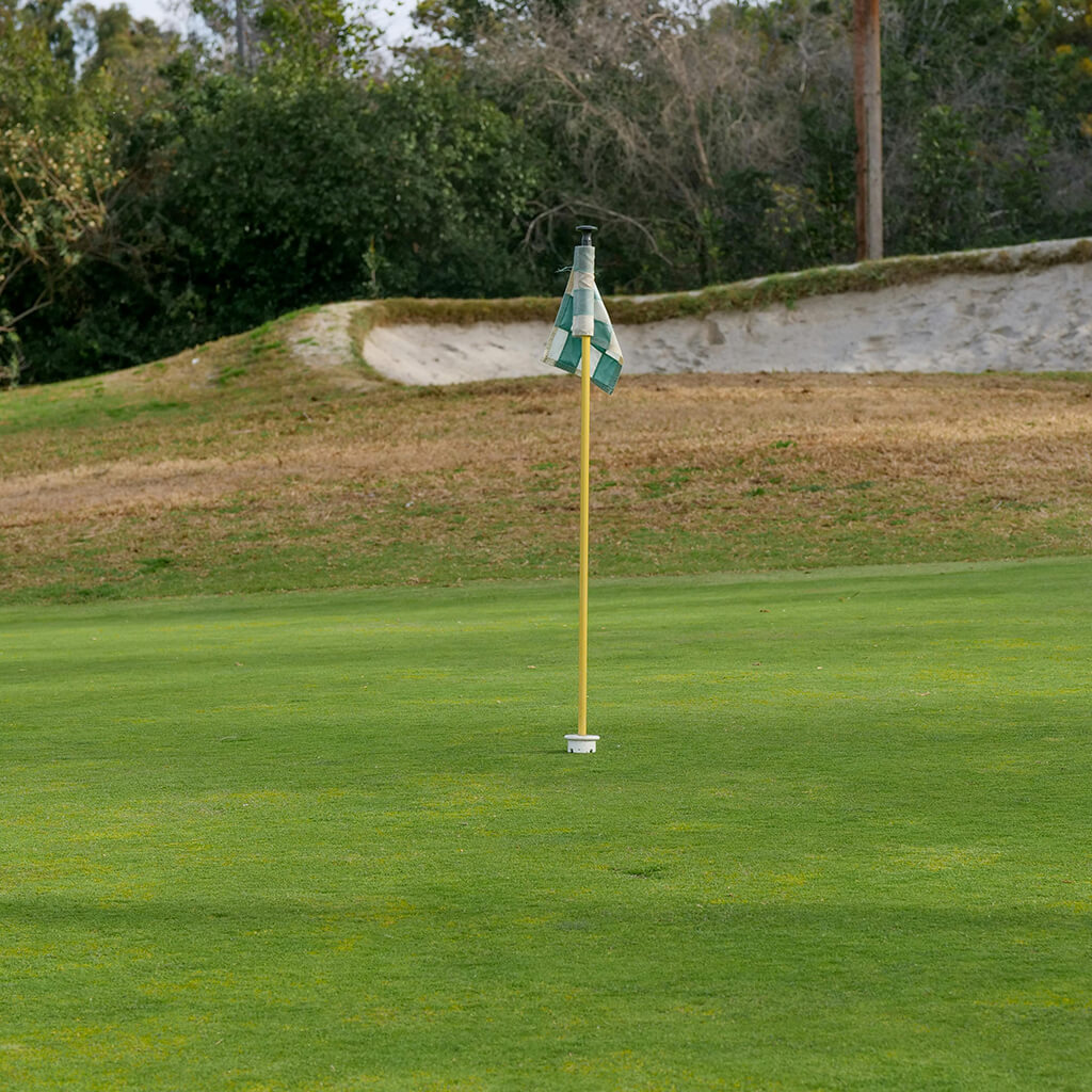 A flag stands tall on the golf green, marking the hole